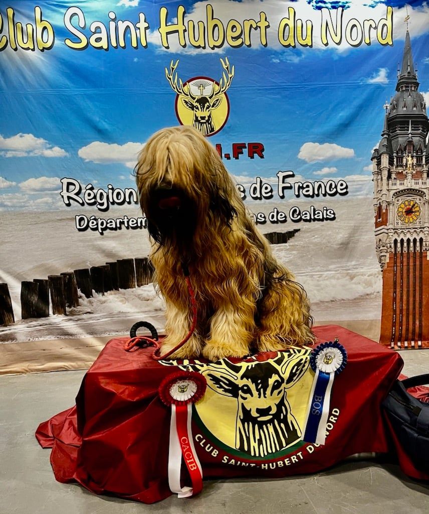 Ulysse De La Pointe De La Torche