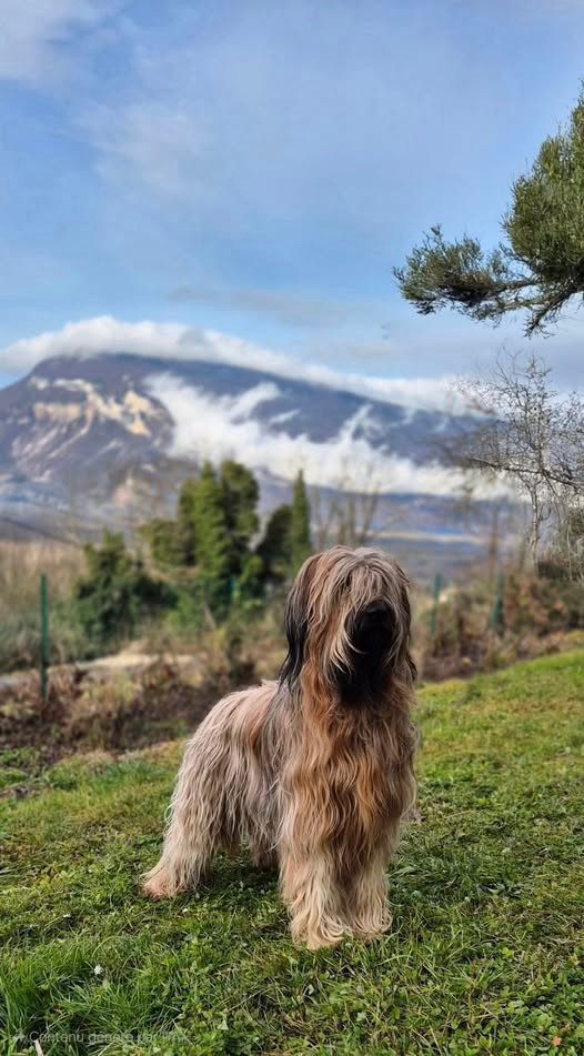 Tiana De La Pointe De La Torche