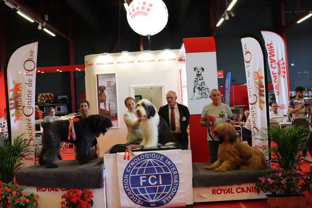 Expo de Compiègne le 15/09/2019